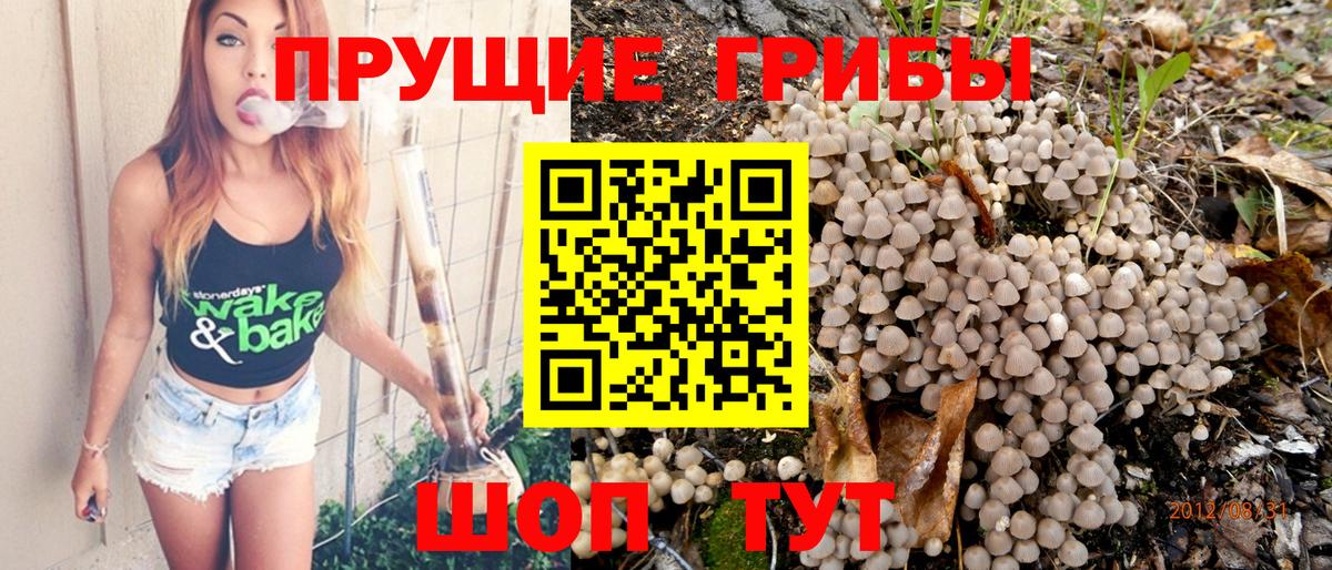 Галлюциногенные грибы MAGIC MUSHROOMS Краснокамск